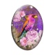 Cabochon Verre Ovale - oiseau