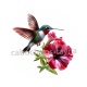 oiseau