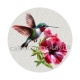 oiseau
