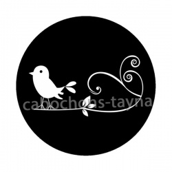 oiseau noir et blanc