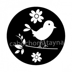 oiseau noir et blanc