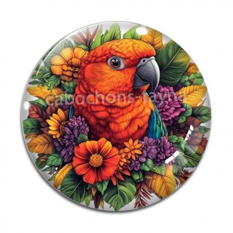 Cabochon Verre - perroquet