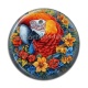 Cabochon Résine - perroquet