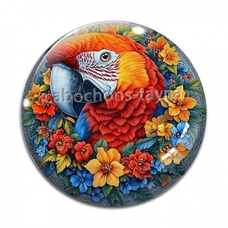 Cabochon Verre - perroquet