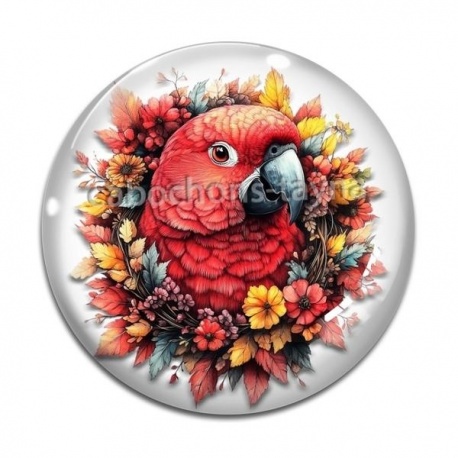 Cabochon Verre - perroquet