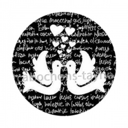 oiseau noir et blanc