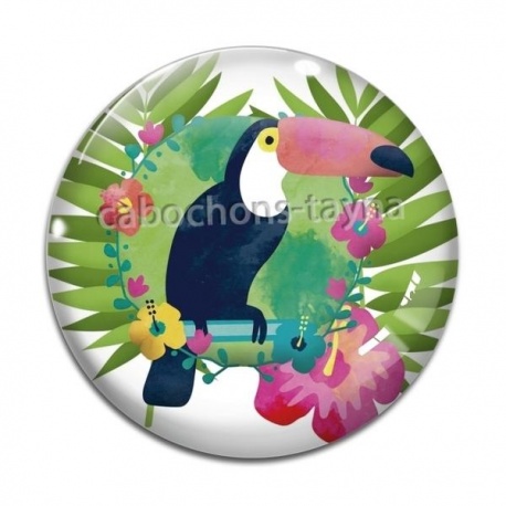 Cabochon Verre - toucan