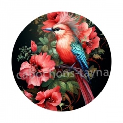oiseau