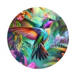 oiseau