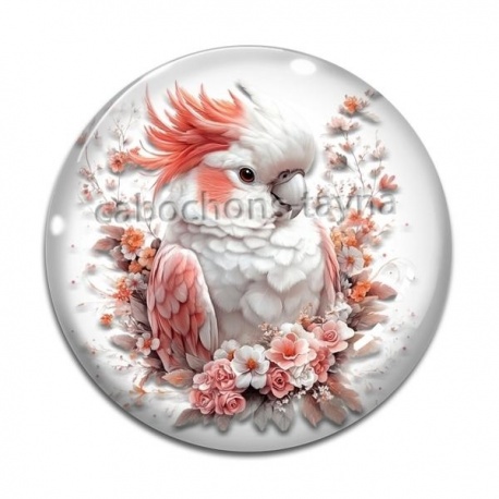 Cabochon Verre - perruche