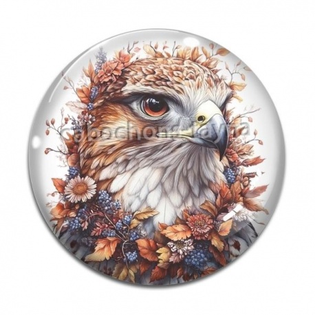 Cabochon Verre - faucon