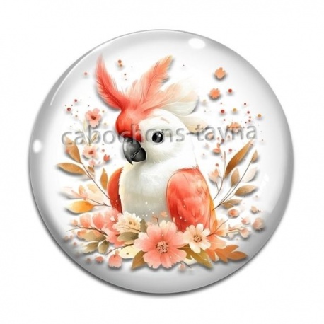 Cabochon Verre - perruche