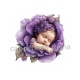 bébé fleur