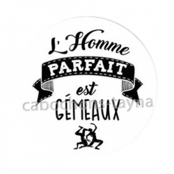 l'homme parfait est gémeaux