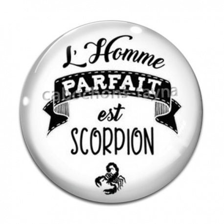 Cabochon Verre - l'homme parfait est scorpion