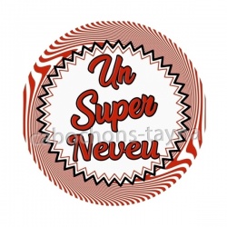 un super neveu