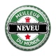 Cabochon Résine - meilleur neveu
