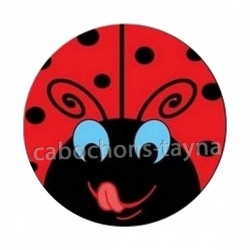 coccinelle
