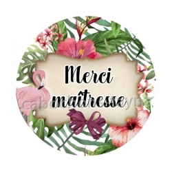 merci maîtresse