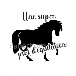 une super prof d'équitation