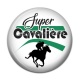 Cabochon Résine - super cavalière