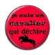 Cabochon Résine - je suis un cavalier qui déchire