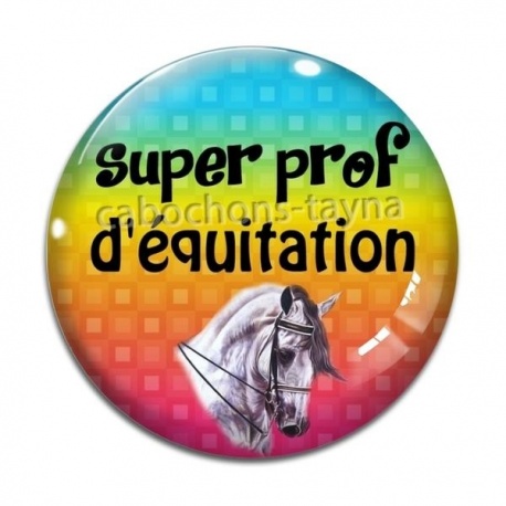 Cabochon Verre - super prof d'équitation