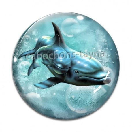 Cabochon Verre - daufin