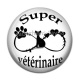 Cabochon Résine - super vétérinaire