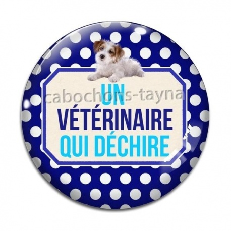Cabochon Verre - un vétérinaire qui déchire