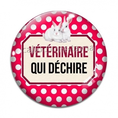 Cabochon Verre - vétérinaire qui déchire