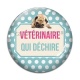 Cabochon Verre - vétérinaire qui déchire