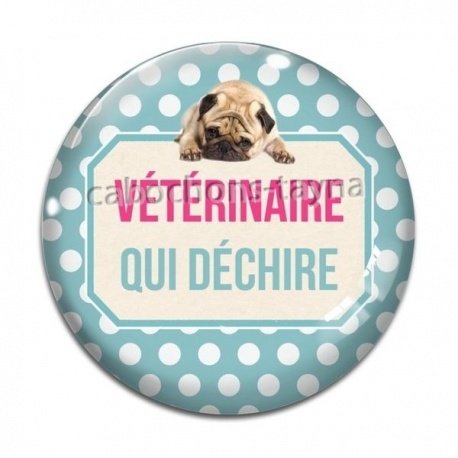 Cabochon Verre - vétérinaire qui déchire