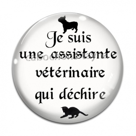 Cabochon Verre - je suis une assistante vétérinaire qui déchire
