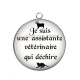 Pendentif Cabochon Argent - je suis une assistante vétérinaire qui déchire