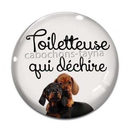 Cabochon Verre - toiletteuse qui déchire