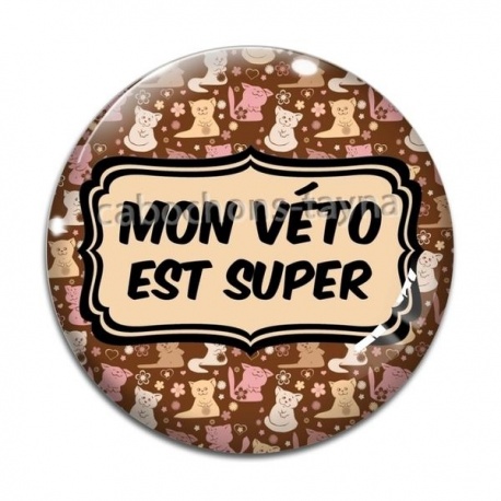 Cabochon Verre - ma véto est super