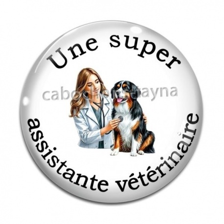 Cabochon Verre - une super assistante vétérinaire