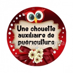 une chouette auxiliaire de puériculture