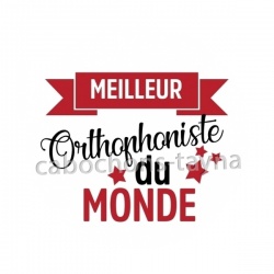 meilleur orthophoniste du monde - homme