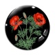 Cabochon Verre - coquelicot