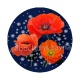 coquelicot