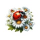 coccinelle