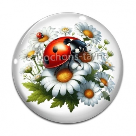 Cabochon Verre - coccinelle