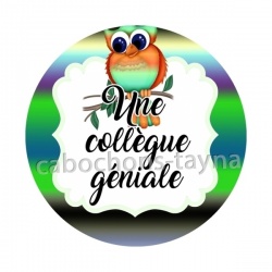 une collègue géniale