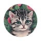 chat