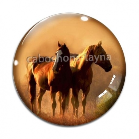 Cabochon Verre - cheval