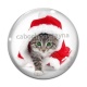 Cabochon Verre - chat
