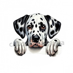 chien