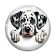 Cabochon Verre - chien